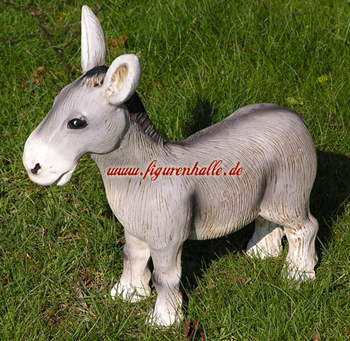 Lustiger Esel