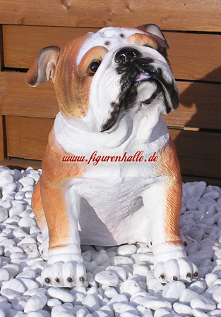 Bulldogge