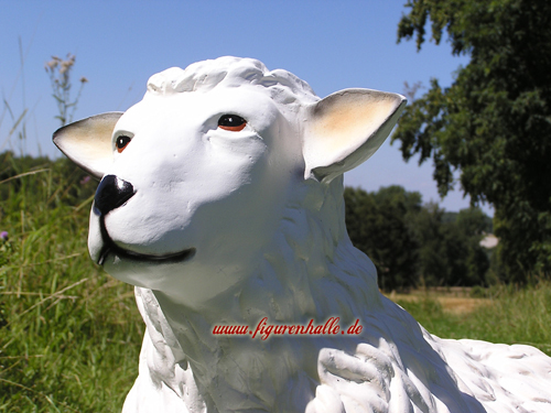 Schaf Bauernhof