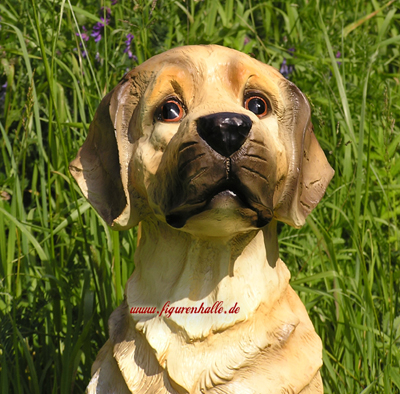 Golden Retriever Dekofigur Tierfigur