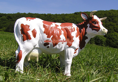 Kuh Bauernhof braun