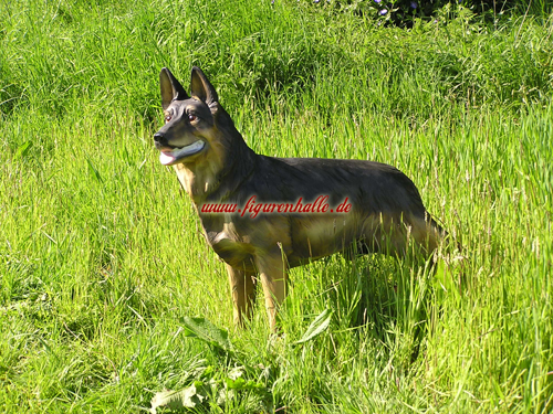 Schferhund lebensgre