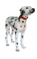 Preview: Billy the Dalmatian as a dog figure