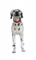Preview: Dalmatian dog figurine