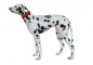 Preview: Dalmatian garden figure fan decoration