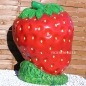 Preview: Riesen Erdbeere