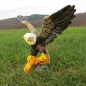 Preview: Bald eagle figure