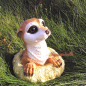 Preview: Meerkat garden figure