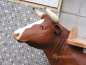 Preview: Tisch als Kuh braune Flecken
