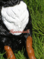 Preview: Bernese mountain dog figure
