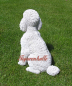 Preview: Poodle display figure outdoors