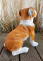 Preview: Englische Bulldogge Gartenfigur