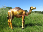 Preview: Kamel Dekorationsfigur groß