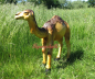 Preview: Kamel für Krippe als Figur und Statue