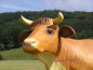 Preview: Cow life size