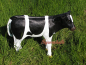 Preview: Decorative calves for the garden