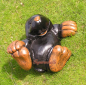 Preview: Mole figure