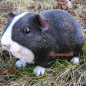 Preview: Black guinea pig as statue