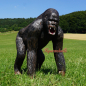 Preview: Gorilla monkey figure 130cm