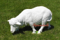 Preview: Sheep decorative figure