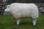 Preview: Standing sheep auction