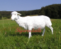 Preview: Schaf Figur