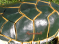 Preview: Water turtle decoration