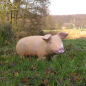 Preview: Schwein Figur