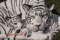 Preview: Tiger Dekofigur mit Baby Weiß