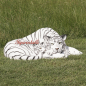 Preview: Tiger Figur liegend Weißer Kaufen