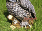 Preview: Owl decorative figure