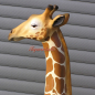 Preview: Afrikanische Giraffe