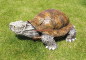 Preview: Schildkröte Dekofigur