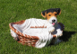 Preview: Fox Terrier Tierfigur