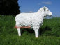 Preview: Großes Dekoschaf