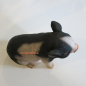 Preview: Zwerkschwein Statue
