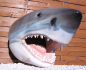 Preview: Wall decoration shark