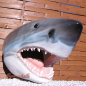 Preview: Shark Shark Head