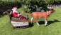 Preview: Weihnachtsmann Figur als Schlitten Gespann