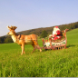 Preview: Rentier mit Weihnachtsmann Schlitten