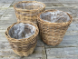 Preview: Pflanzkorb aus Rattan im 3er Set