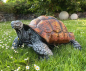 Preview: Garten Schildkröte