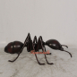 Preview: Giant ant as figure and statue