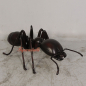 Preview: Ant ant advertising figure