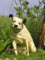 Preview: Hunde Figur vom Landstreicher