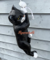 Preview: Katze Aufstellfigur Schräbergarten