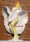 Preview: Marilyn Monroe life-size statue
