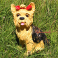 Preview: Yorkshire Terrier