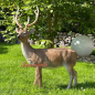 Preview: Deer figure