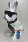 Preview: White bulldog as a decorative figure with tie